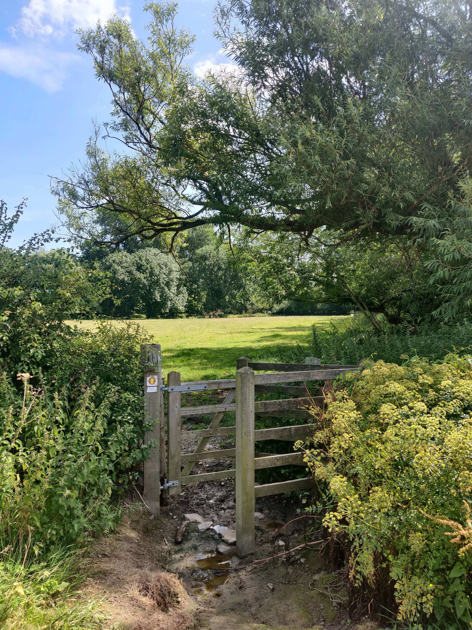 A gate in the English countryside leading into a field