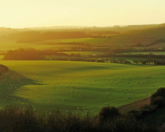 Sunset over fields in the countryside