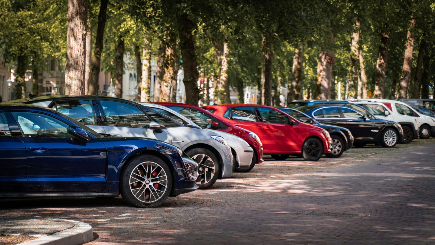 A line of cars parked in a woodland