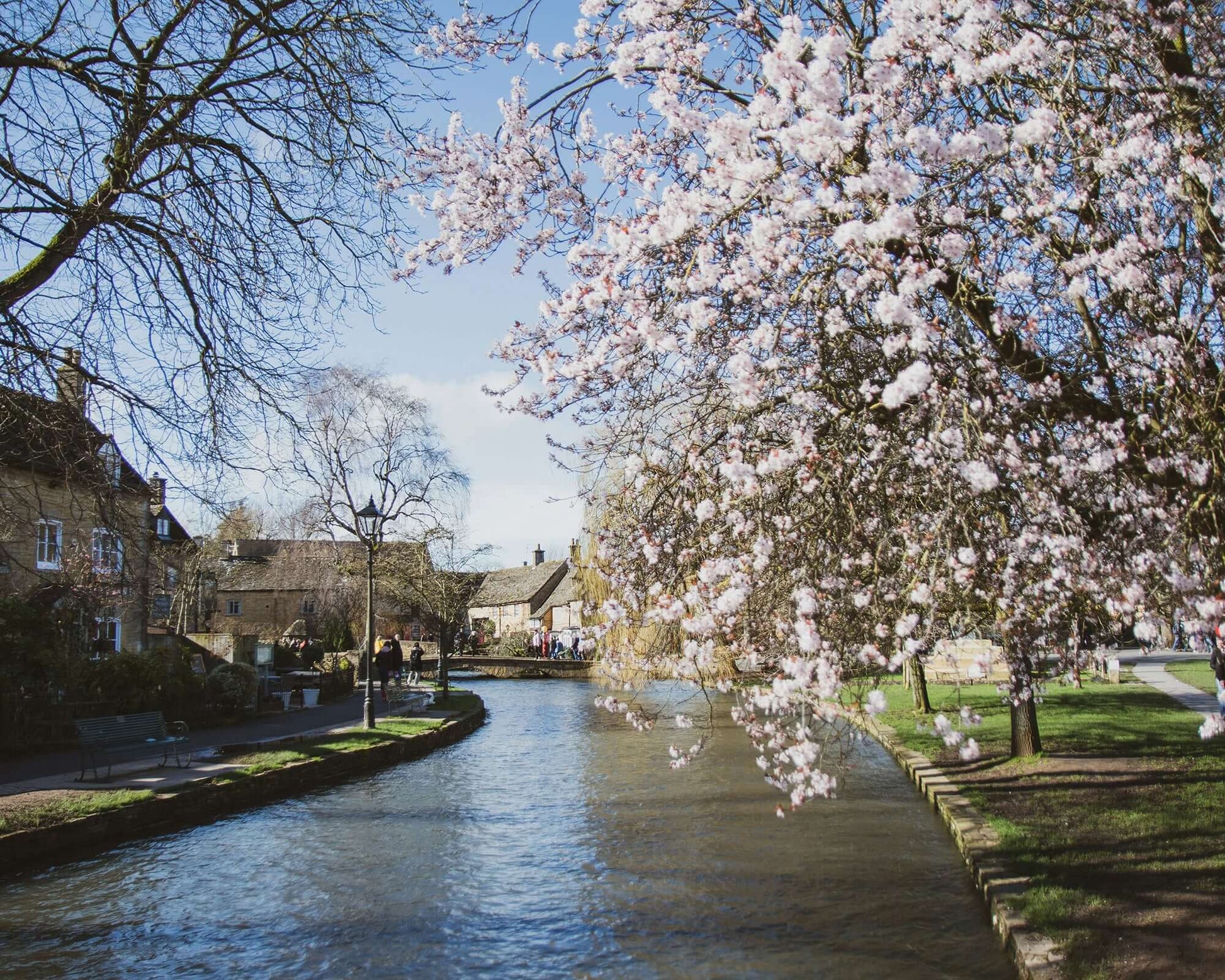 A stream running between blossoming trees